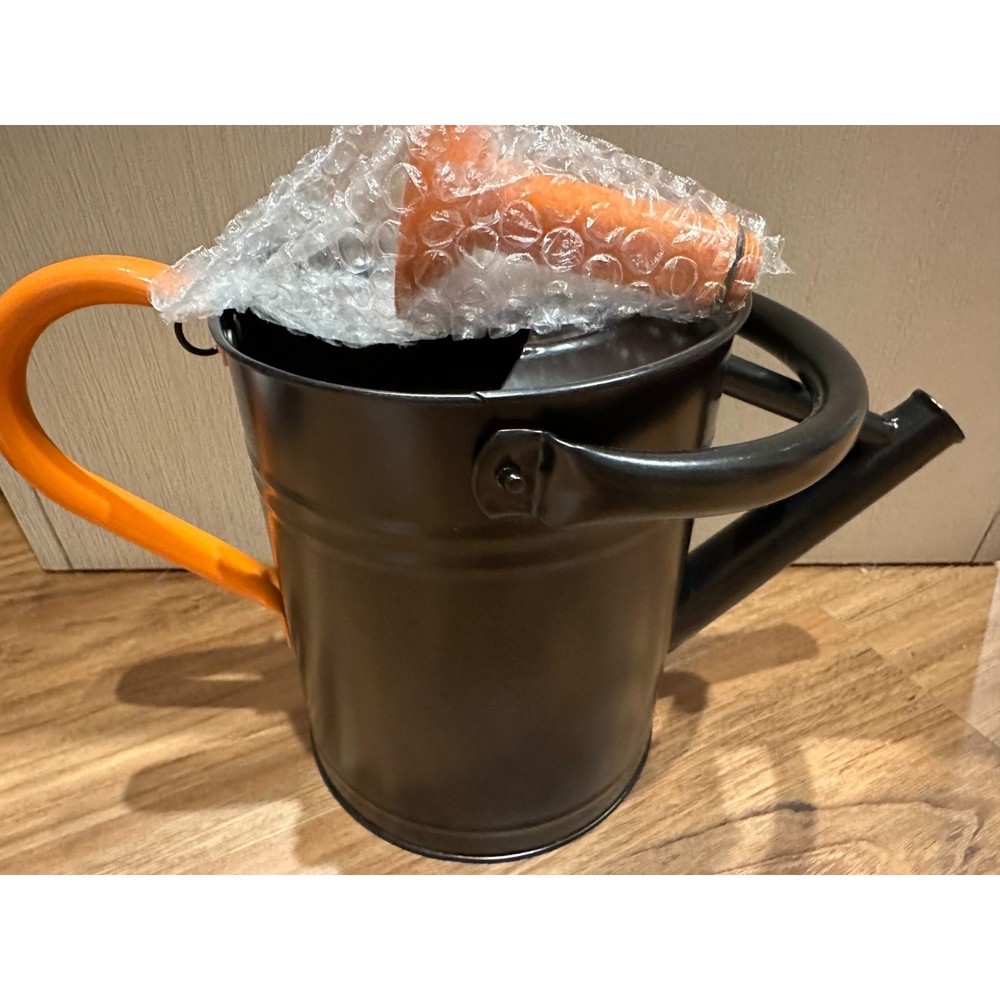 1-Gallon Galvanized Metal Watering Can by Cesun